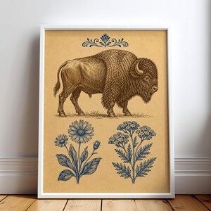 Può includere: Una stampa artistica incorniciata su sfondo beige con un'illustrazione dettagliata a inchiostro marrone di un bisonte in piedi. Sopra il bisonte c'è un fregio decorativo blu. Sotto, due illustrazioni botaniche blu di fiori selvatici.