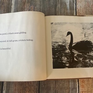 Svart är vackert, Ann McGovern, 1969 första upplaga bild 5