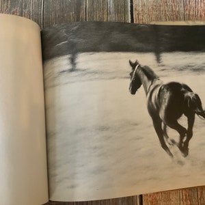 Svart är vackert, Ann McGovern, 1969 första upplaga bild 6