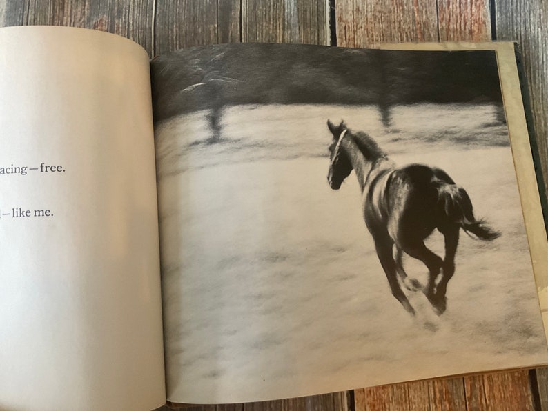 Svart är vackert, Ann McGovern, 1969 första upplaga bild 6