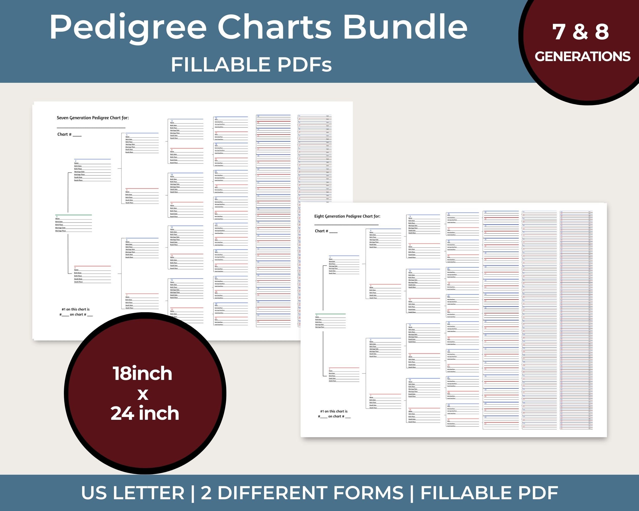 7 &amp; 8 Generation Pedigree Chart Bundle Genealogy Forms Printable ...