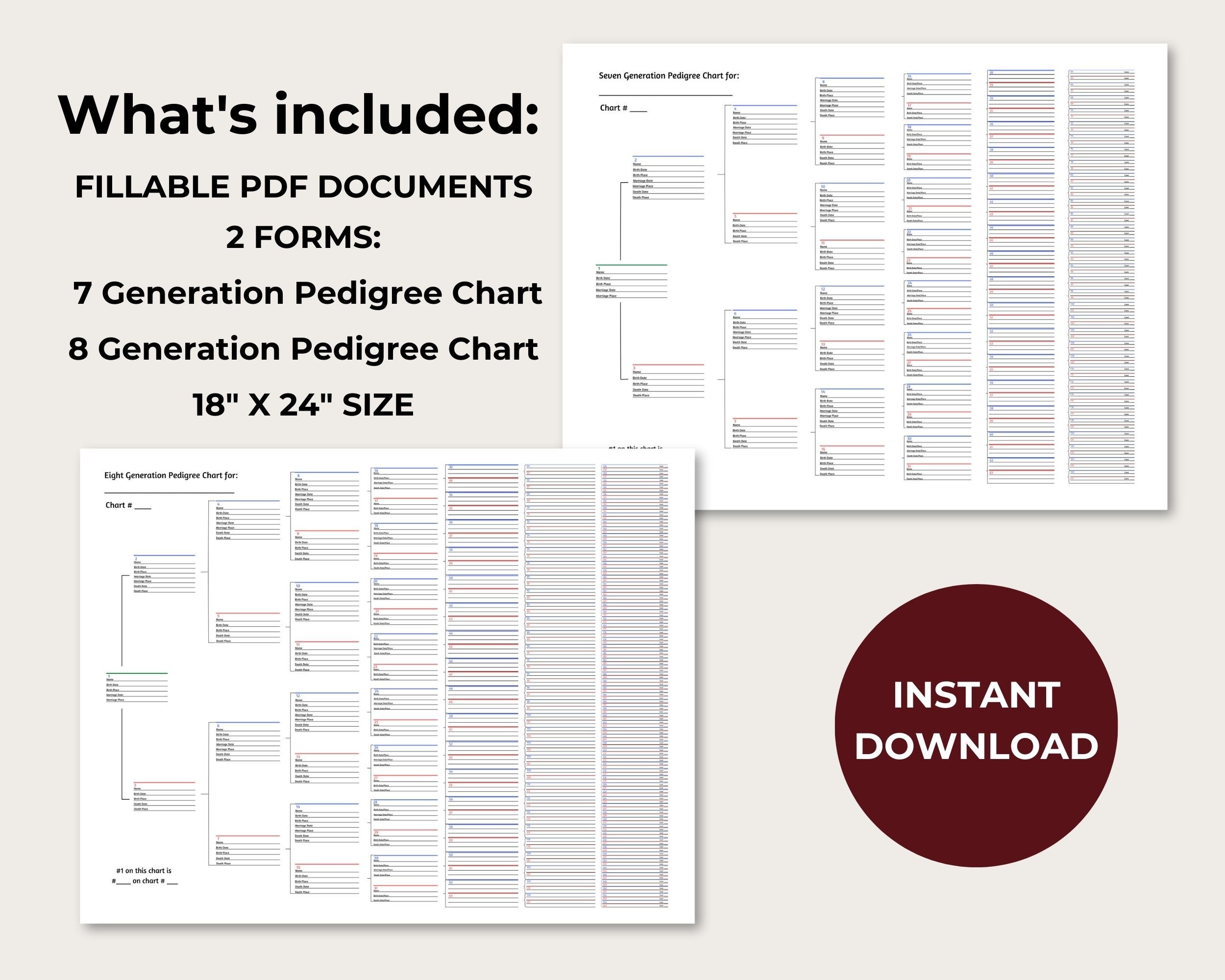 7 &amp; 8 Generation Pedigree Chart Bundle Genealogy Forms Printable ...
