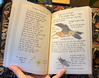 The Nature Journal of a Narrowboater 2025