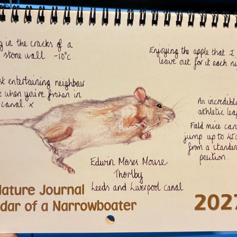 Mindfulness Calendar 2027 - Etsy