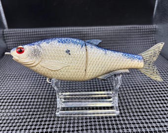 6.3'' Hinkle Shad K.O. in a Bone/Blue pattern