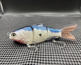 5" Bad Shad in Blueback pattern