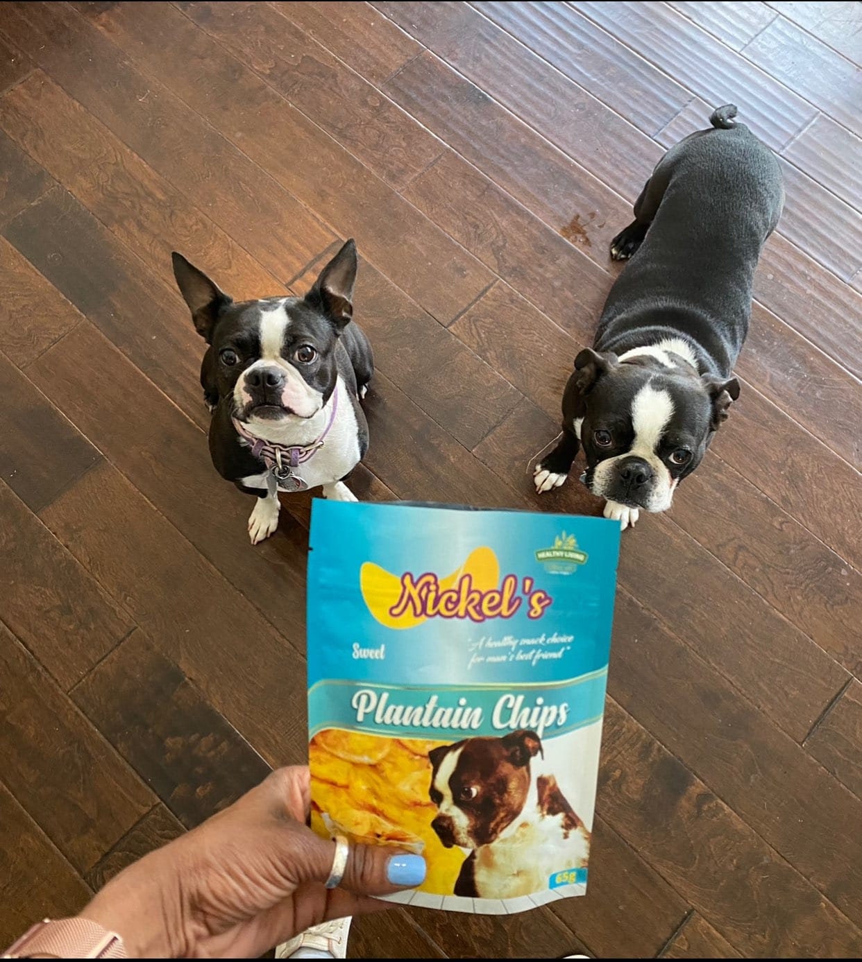 Are Plantains Chips Bad For Dogs
