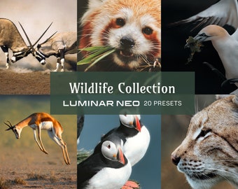 Wildlife Luminar Presets Collection