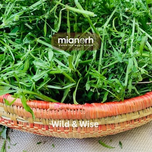 Dried Cleavers (Galium Aparine) — Sacred Wild Herb for Flow, Energetic Unbinding & Release