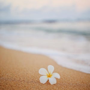 Ocean Ritual Sand - Sable sacré brut pour les autels, l'ancrage spirituel et l'épuration de l'énergie