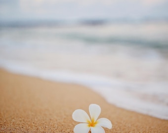 Ocean Ritual Sand – Raw Sacred Sand for Altars, Spiritual Grounding & Energy Clearing