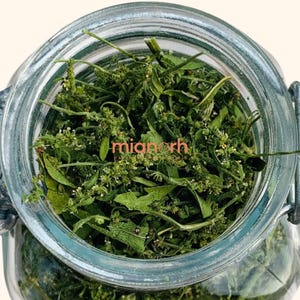 May include: A clear glass jar filled with dried green herbs. The jar has a metal clasp and a wide opening, showcasing the contents. The herbs appear to be a mix of leaves and small flowers, with a natural, organic aesthetic. The text "mianorh" is visible on the jar.