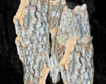 May include: Several pieces of rough, textured tree bark with a grey and brown color palette. The bark features deep ridges, fissures, and a weathered appearance with lighter tan edges, showcasing a natural, organic, and rugged surface texture.