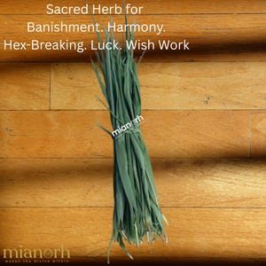 Ewe Igi Oparun (Dried Bamboo Leaves) | Sacred Ritual Herb for Protection, Banishing, Cleansing & Luck