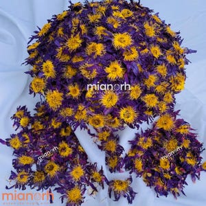 Hele blauwe lotusbloemen | Heilig kruid voor droomwerk, meditatie en ritueel