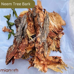 Corteza de árbol de Neem para rituales, limpieza y protección espiritual, hierba de destierro, artículos para altar y brujería.