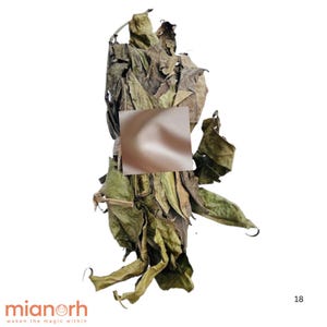 オギリシ / クパティマ / 羊アココの葉 / アフリカヒソップ – 幸運、祖先の導き、そして呪縛を解くための神聖なハーブ