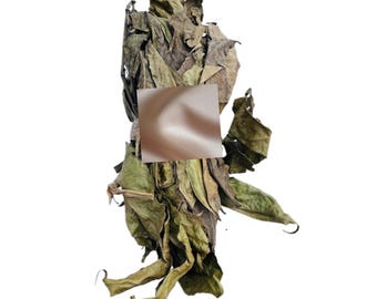 May include: A bundle of dried, brownish-green leaves tied together with a string, featuring a square brown label in the center. The text mianorh waken the magic within is printed in orange at the bottom left, with the number 18 at the bottom right.