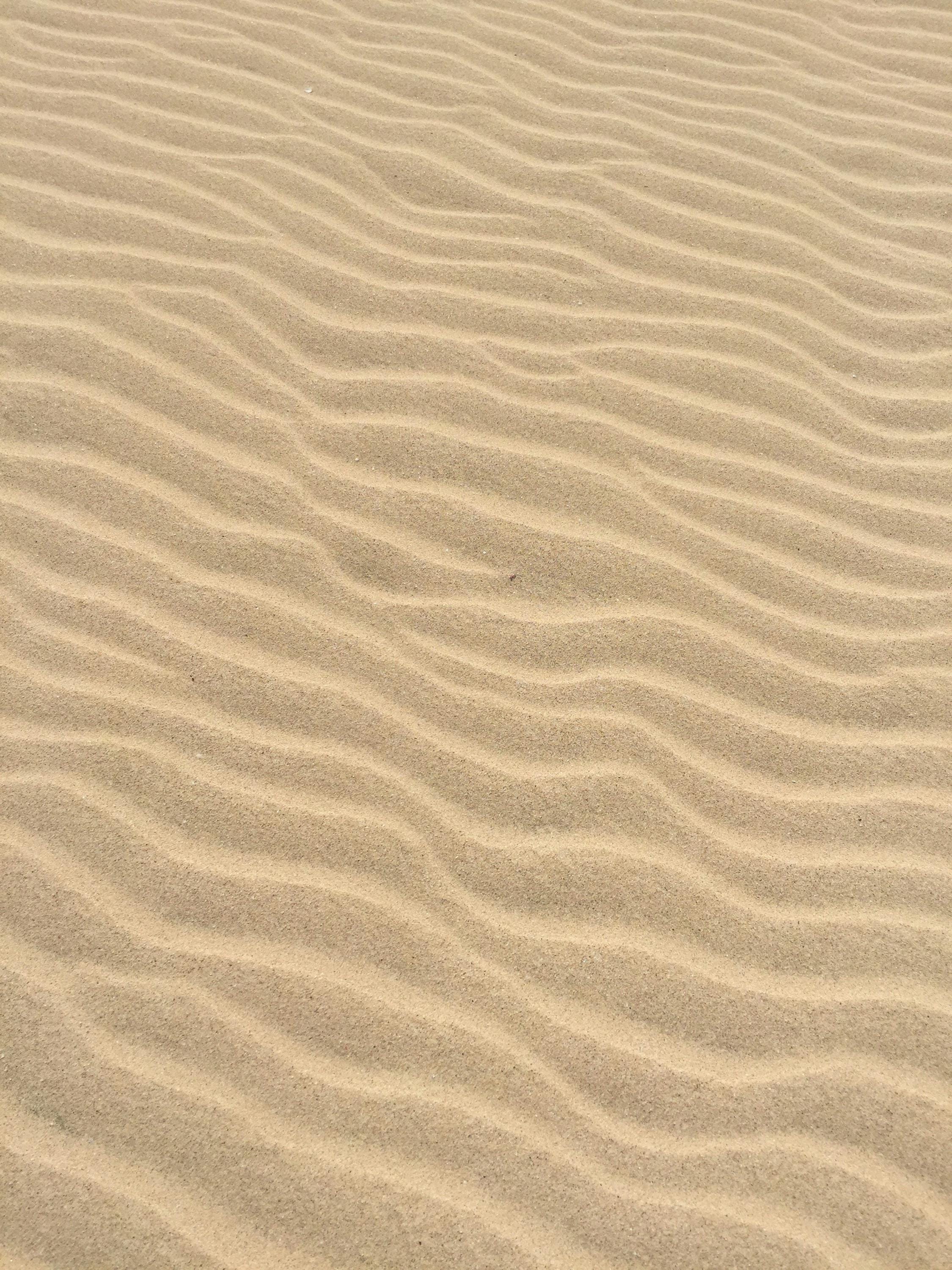 Ocean Ritual Sand – Raw Sacred Sand for Altars, Spiritual Grounding ...