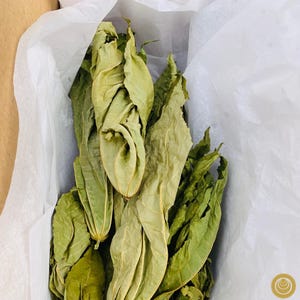 Dried Castor Leaves, Ewé Lára / Láà | Fey Masketi Sèch | Sacred African Ritual Herb
