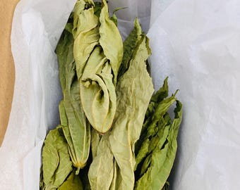 Dried Castor Leaves, Ewé Lára / Láà | Fey Masketi Sèch | Sacred African Ritual Herb
