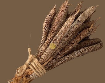 Afrikanischer Rasta-Weihrauch — Dada Ope Natürlicher Weihrauch — Palm Tree Flower Blütenstand