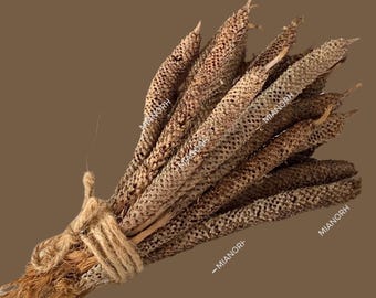 Afrikanischer Rasta-Weihrauch — Dada Ope Natürlicher Weihrauch — Palm Tree Flower Blütenstand