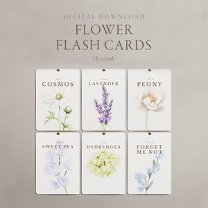 Lernkarten Blumen Lernkarten Digital Download für Kinder - Montessori Blüten
