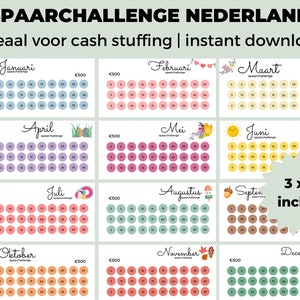 Spaar challenge Nederland | Cash Stuffing Nederlands | Euro | Spaardoel per maand | 12 Maanden Spaarchallenge | Saving Challenge Euro