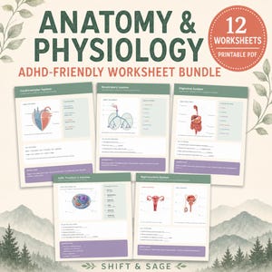 May include: Anatomy and Physiology ADHD-friendly worksheet bundle featuring 12 printable PDF pages. The collection includes educational diagrams of the cardiovascular, respiratory, digestive, and reproductive systems, plus cell structure and function.