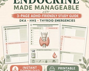 Studiegids voor endocrinologische verpleegkunde, ADHD-vriendelijke aantekeningen over interne geneeskunde en chirurgie, printbaar PDF-bestand van 3 pagina's.