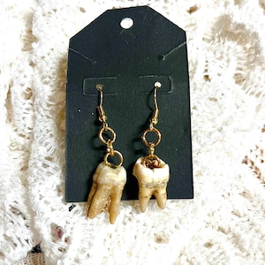 Human Teeth Earrings
