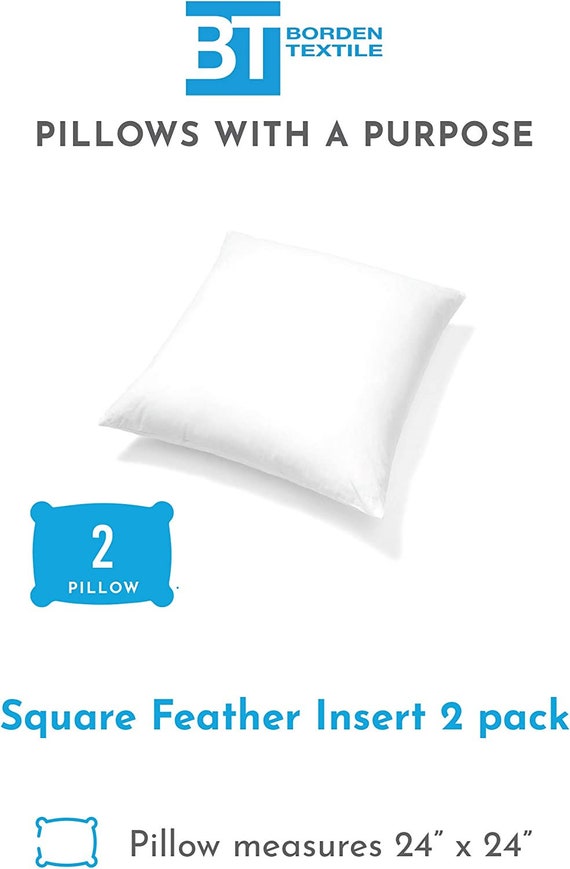 2 Pack Feather Down Throw Pillow Insert 