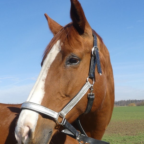 Silbernes Lederhalfter mit silbernem Nasenriemen und Backenstücken handgenäht aus Rindsleder und silberner Glitzerfarbe Hochglanz Pferd