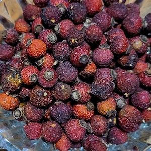Peut inclure: Un bol en verre rempli de cynorrhodons séchés. Les cynorrhodons sont d'un mélange de rouge et de rouge foncé.