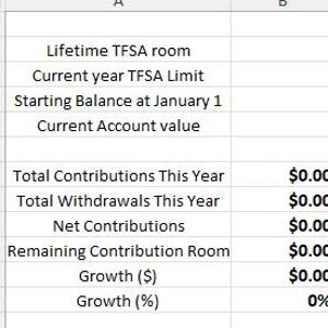 Può includere: Un foglio di calcolo che mostra dati finanziari, tra cui "Lifetime TFSA room", "Current year TFSA Limit" e "Starting Balance at January 1". Il foglio di calcolo mostra anche "Total Contributions This Year" e "Total Withdrawals This Year."