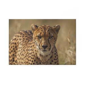 Imán de botón con retrato de guepardo / Imán rectangular con foto de animal