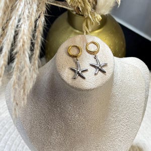 Stainless steel earrings