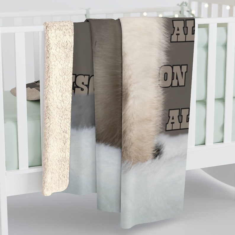 Personalized Kitten Baby Blanket, Customized Kitten Blanket, Custom