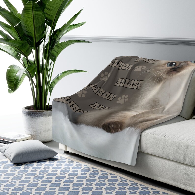 Personalized Kitten Baby Blanket, Customized Kitten Blanket, Custom