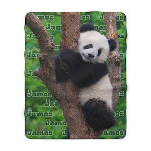 Personalized Baby Blanket, Custom Panda baby blanket, Customized Panda Blanket, Girl baby blanket, Panda Boy Blanket, Velveteen, Sherpa