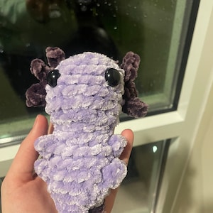 Mini Axolotl