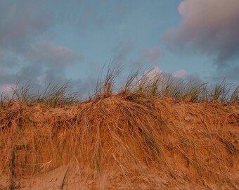 Sanddynerna vid solnedgången // Lake Michigan, Holland, MI