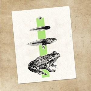 Evolve | Art Print, unframed