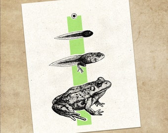 Evolve | Art Print, unframed