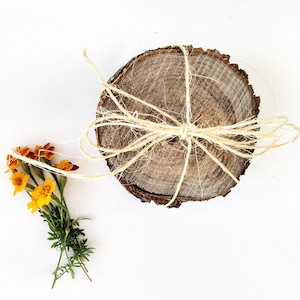 4 coasters, wood slices, wood coasters, reclaimed camphor wood coasters, set of 4 coasters, rustic wood coasters, gift