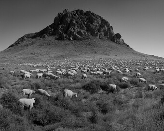 El 99 - Impresión fotográfica de paisaje de bellas artes - Rollo de heno en blanco y negro en una granja en las llanuras de Colorado