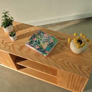 Puede incluir: Una mesa de centro de madera clara con un acabado de vetas de madera natural. La mesa presenta un libro titulado "HOUSE PLANT" con una portada colorida, dos peque&ntilde;as plantas en macetas y un jarr&oacute;n blanco con flores amarillas. La mesa tiene un estante.
