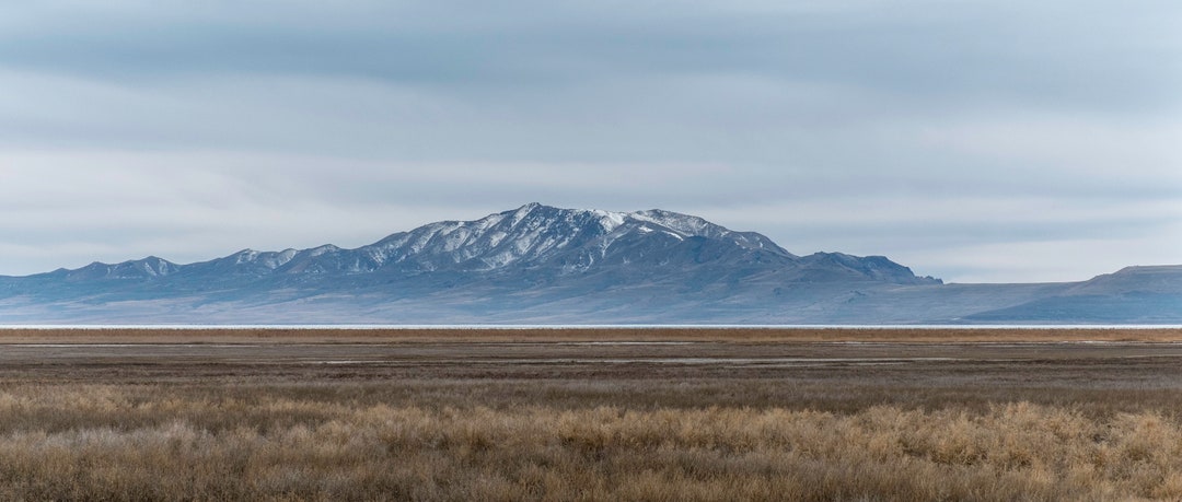 Gold Field -fine Art Landscape Photography Print - Great Salt Lake ...