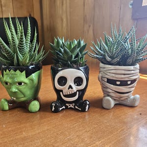 May include: Three Halloween-themed ceramic planters with succulents. The planters are shaped like Frankenstein's monster, a skull, and a mummy. The Frankenstein planter is green, the skull is black and white, and the mummy is beige.